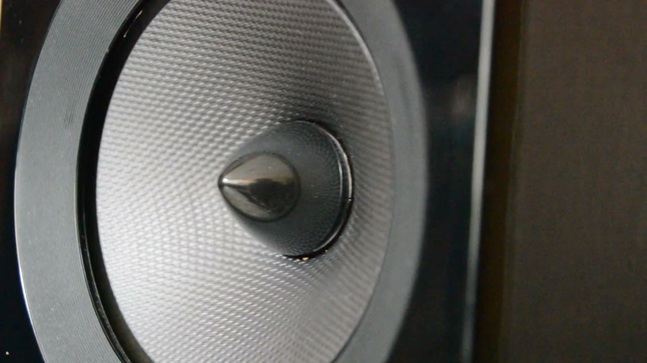 Close-up of a speaker cone and dust cap